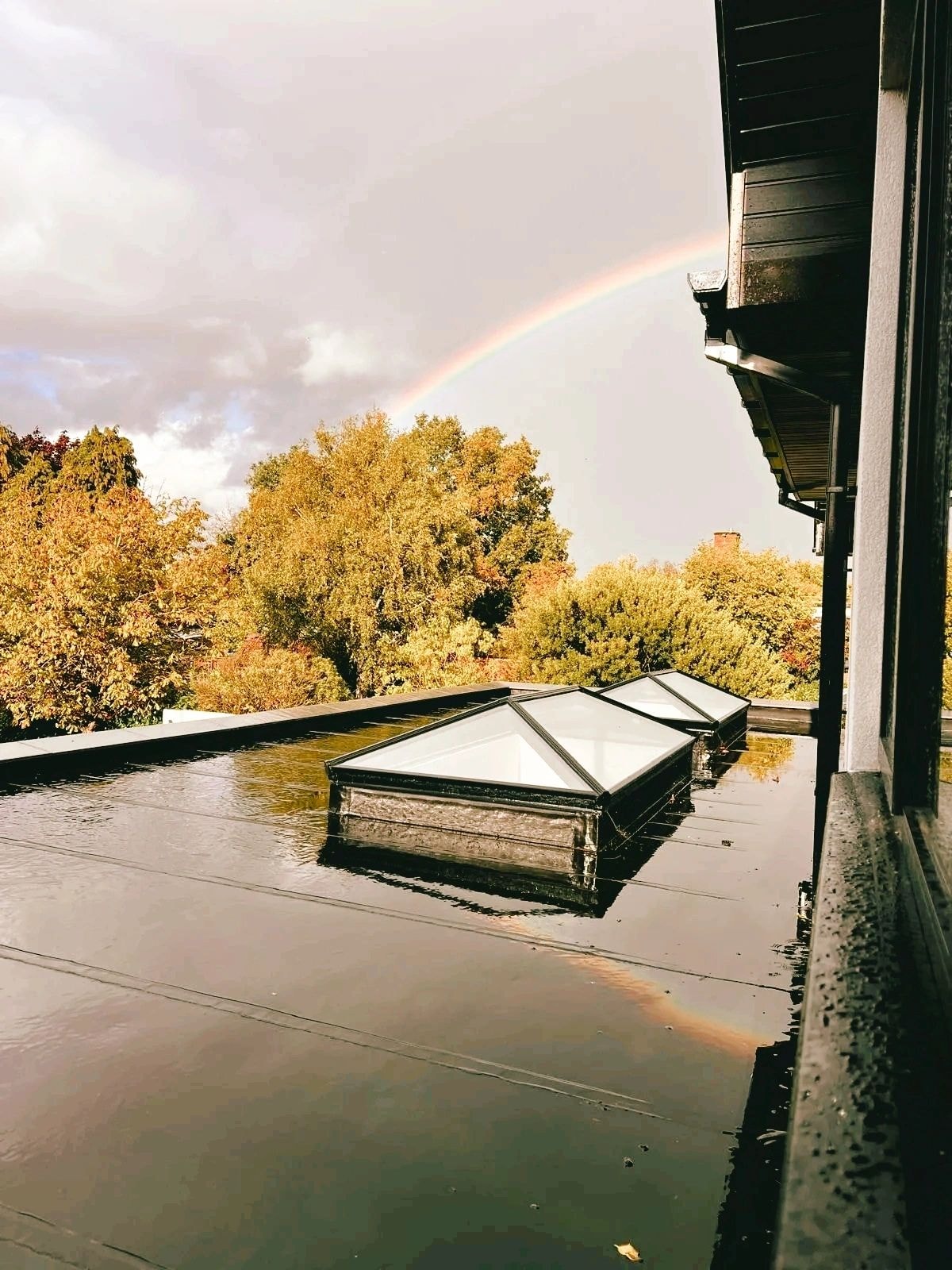 RFM Renovations project — home renovation